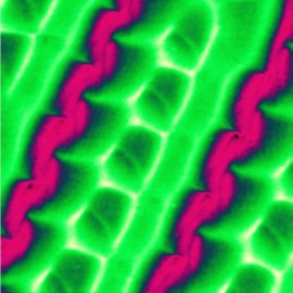 Magnetic domains of Yttrium Iron Garnet