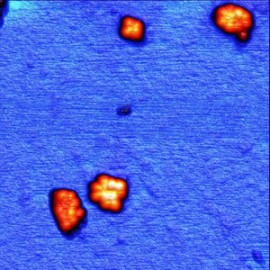 Ferritin clusters