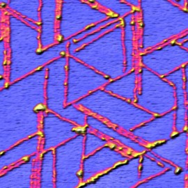 The hexaglycine lamellae on HOPG