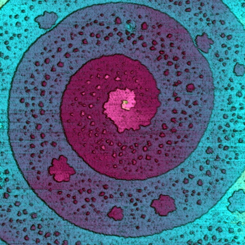 Topography of Si(111)