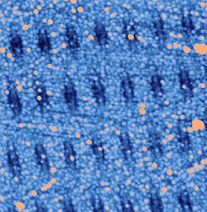 lattice_of_magnetic_dipoles_300