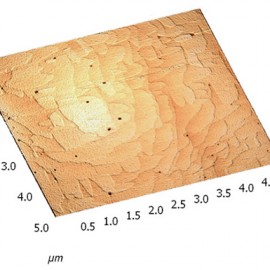 Monolayer steps on the Si surface