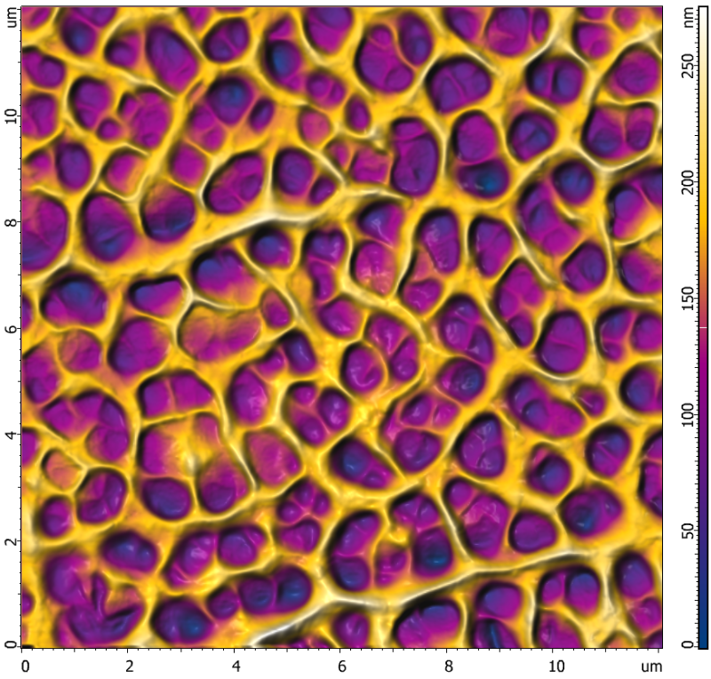 SiGe_Si_12x12um_Scales