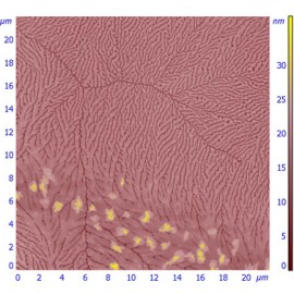 Thin film of semiconducting polymer