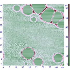 Thin film of semiconducting polymer