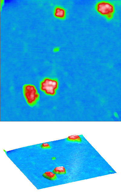 ferritin_clusters_n2