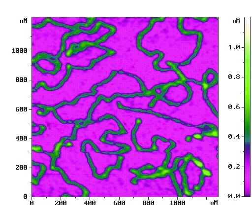 dna_shear-force_image