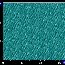 STM of self-assembly of stearic acid