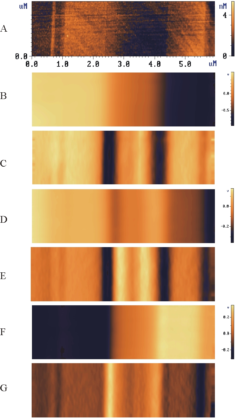 laser_diode_at_work_scanning_kelvin_potential_microscopy_6.0x1