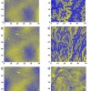 magnetic_phase_transition_in_cobalt