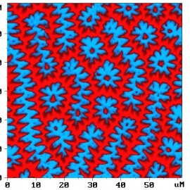 Magnetic domains of Yttrium Iron Garnet