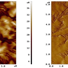 Annealed polyethylene film obtained on Phillips Catalyst