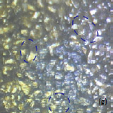 AFM topography optical images of the surface of LiCoO2 cathodes from the used battery