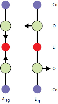 Atomic displacements of the Raman-active modes of LiCoO2