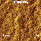 Height and phase images, which were recorded at elevated location, at low force