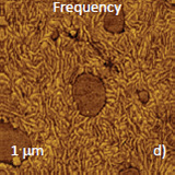 Height and phase images, which were recorded at elevated location, at high force