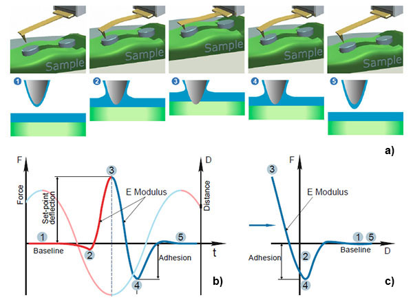 A model illustrating a performance of HD mode, an idealized temporal deflection curve during an oscillatory cycle