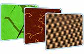 NEXT Scanning Probe Microscope: Visualization of Surface Nanostructures and of Morpholog